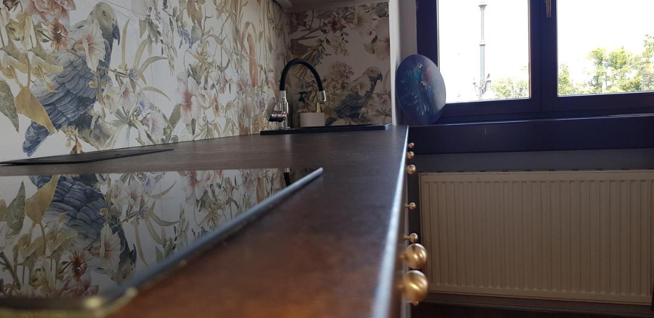 Astronomiczny Apartament , Mieszkanie 2 Pokojowe. Parking. Stary Toruń Kültér fotó
